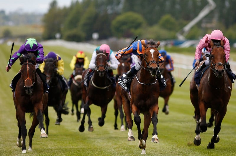 2020 Irish 2000 Guineas | Tips for the Curragh on Friday 12th June.