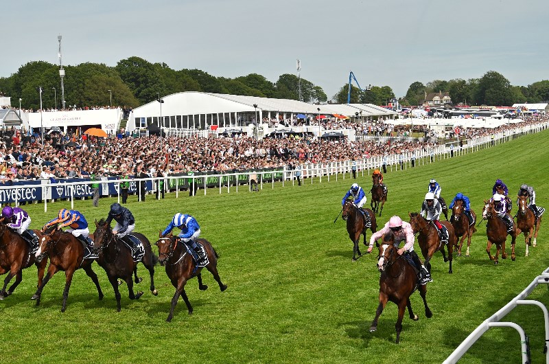 Epsom Derby Live Stream How to watch the Epsom Downs race live online