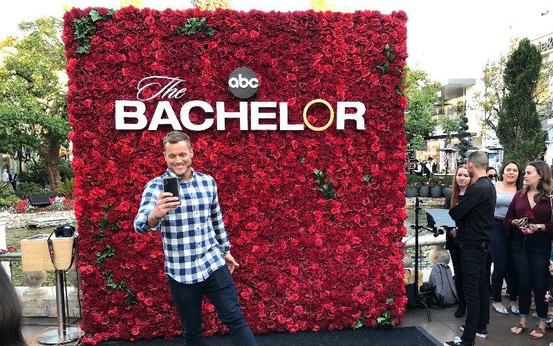 The Bachelor Australia Betting Odds & Tips - Who will win the popular ...