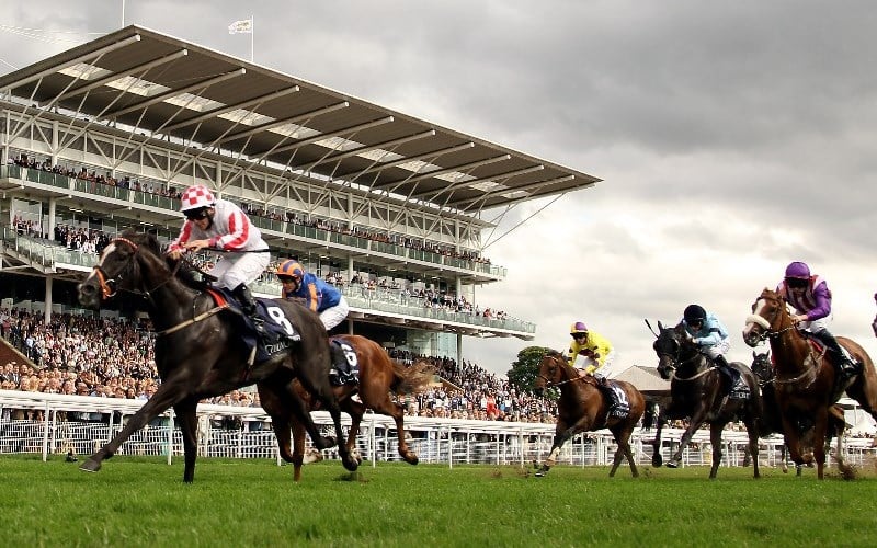 2023 Ebor Festival Betting Tips, Best Bookmakers & Free Bets