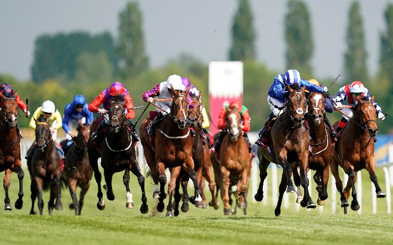 Lockinge Stakes Tips & Predictions Betting updates, odds, tips