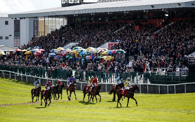 2024 Punchestown Festival Tips & Predictions Betting updates, odds