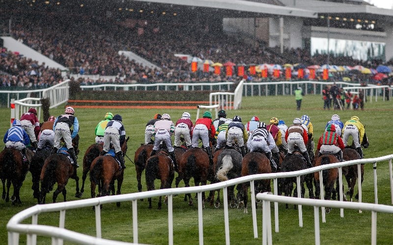 Irish Racing Tips Free Expert Tips