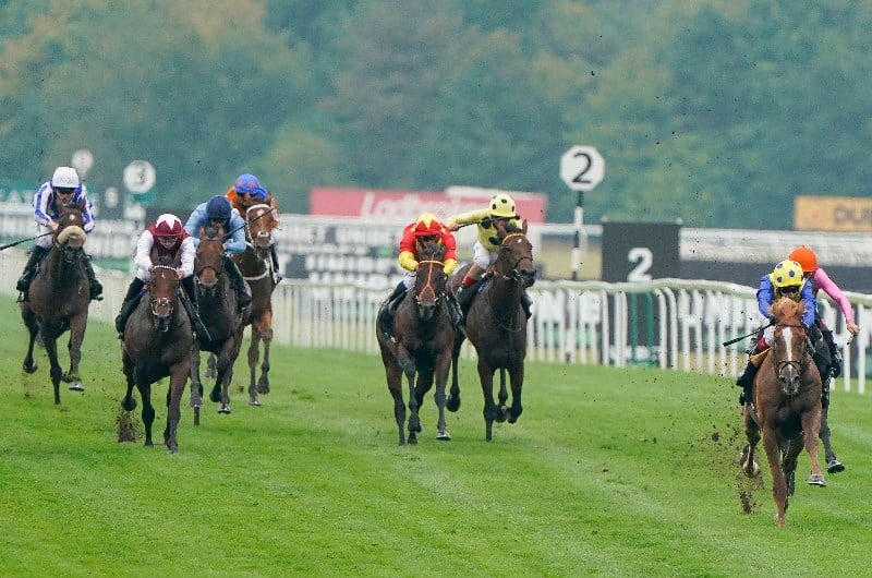 2020 Sprint Cup Tips Odds Form Guide And Tips For Haydock On Saturday 5th September