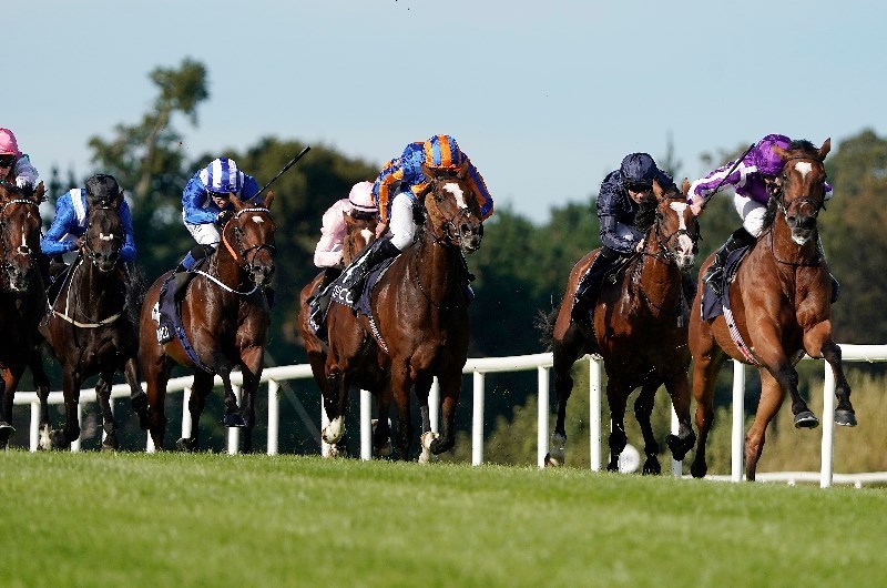 2020 Irish Champion Stakes Odds and Tips Preview of the feature at