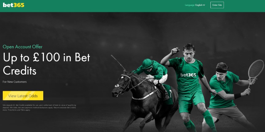 bet365 my bet not showing