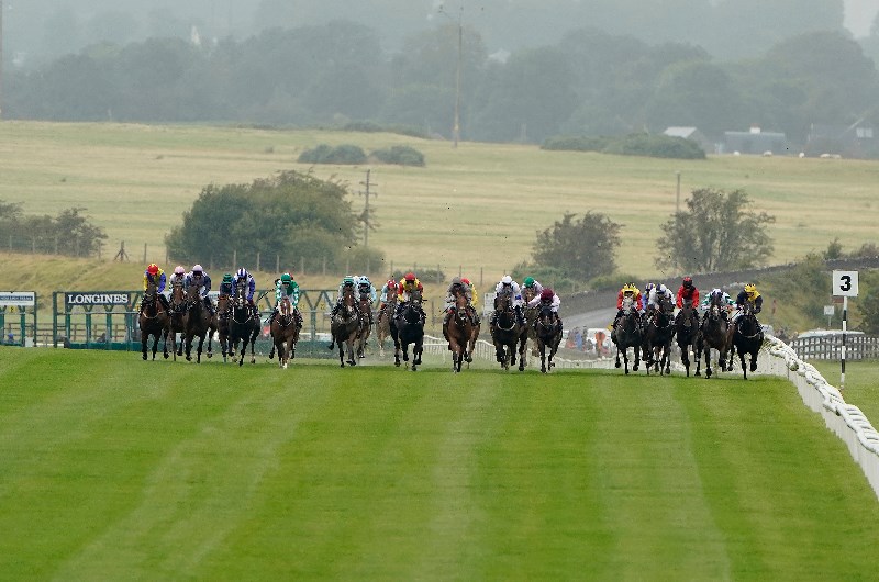 2020 Irish Cesarewitch Tips Two against the field at the Curragh on