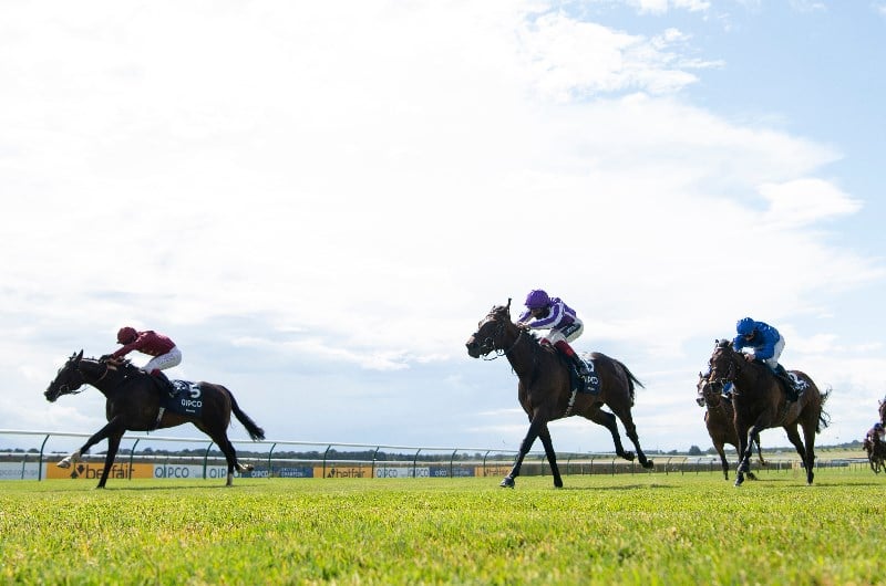 2000 guineas stakes horse races results