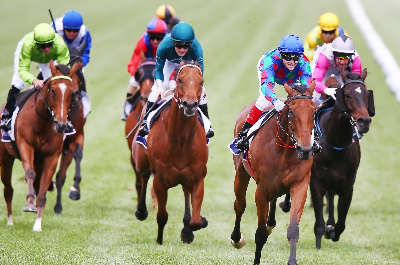 Flemington Tips, Best Bets & Betting Previews for Flemington