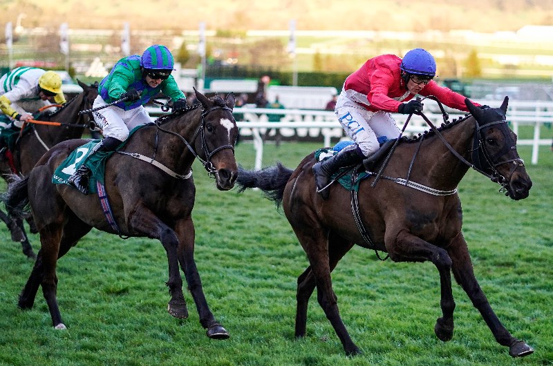 Cheltenham Festival 2021 Tips Five horses to back in the Win Any Race