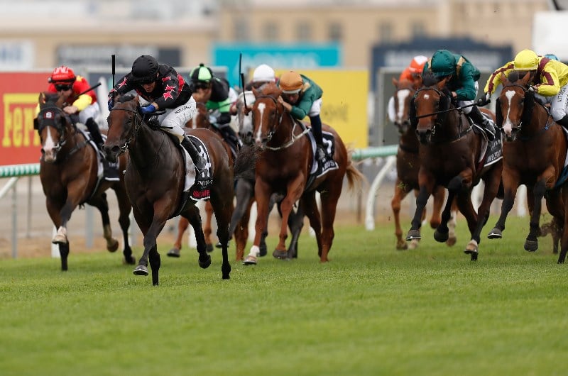 2021 Magic Millions 2YO Classic Betting Tips, Preview & Odds