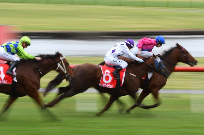 Sandown Racing Tips, Best Bets & Odds | Today's Betting ...