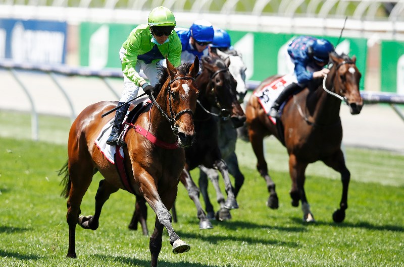 Adelaide Cup 2021 Barrier Draw Adelaide Cup 2021 Final Field