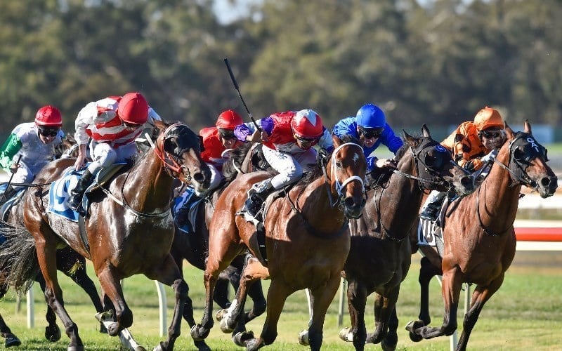 Kalgoorlie Races Live Stream - Watch live Australian racing