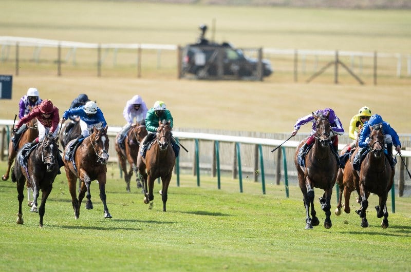 2000 Guineas Live Stream - Watch the Newmarket race live