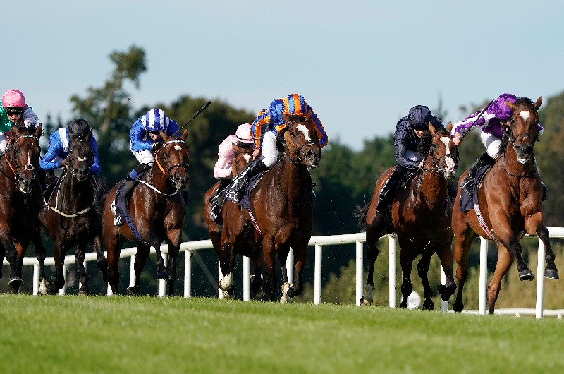 Leopardstown Tips Best betting tips on Sunday 9th May