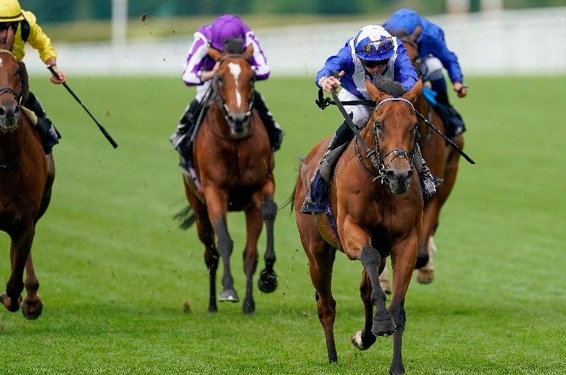 Prince Of Wales's Stakes Live Stream Watch the Royal Ascot race live