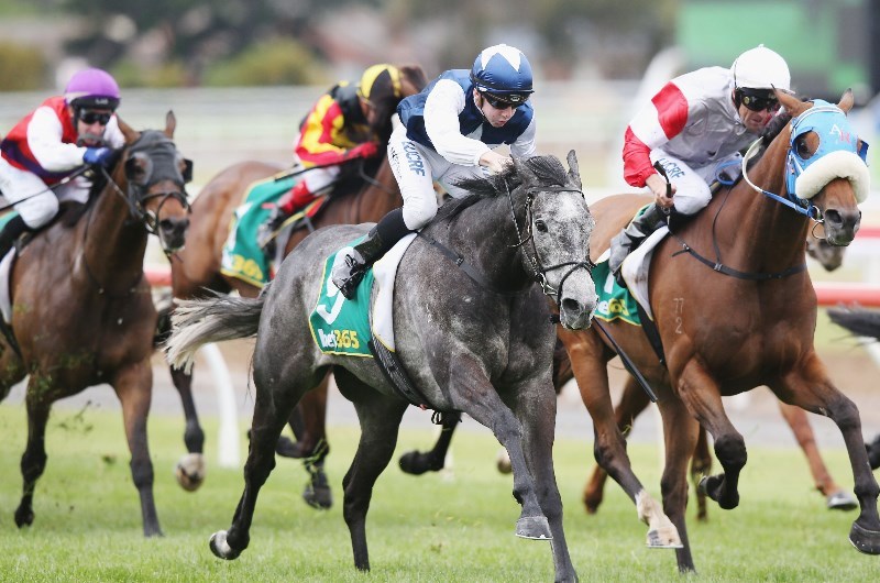 Geelong Tips, Best Bets & Preview Friday 2nd July