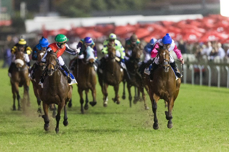 2022 Durban July News | Dates and vital information.