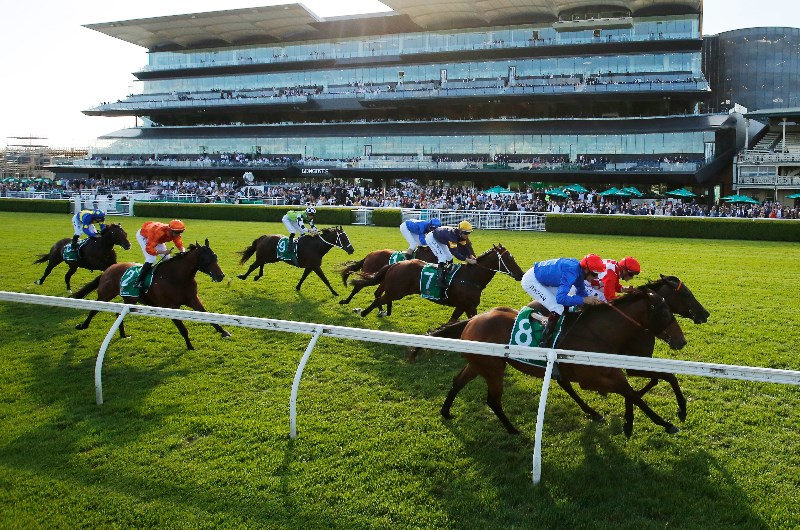 Canterbury Tips, Best Bets & Preview - Wednesday 14th July