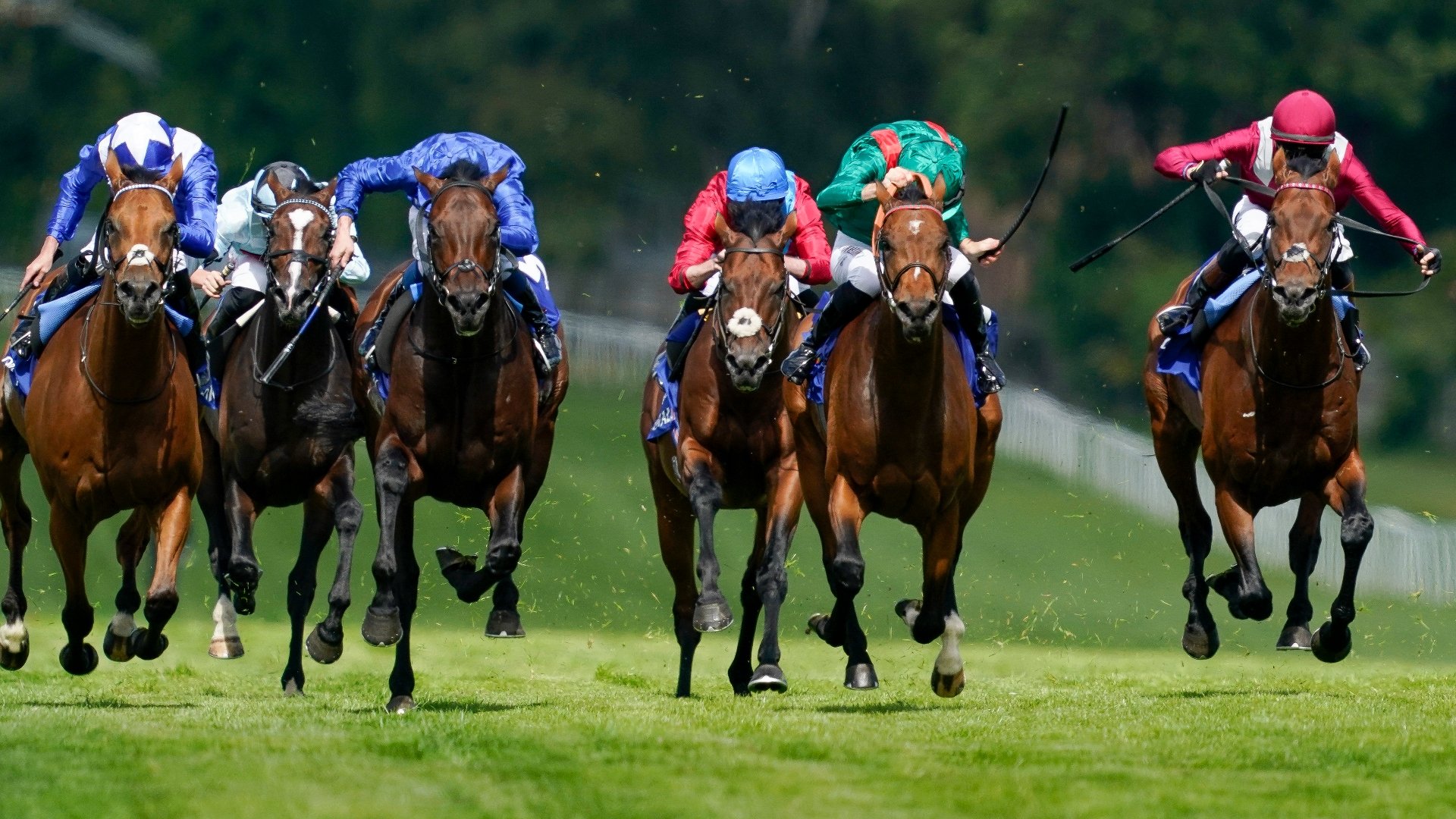 Longchamp horse discount racing odds