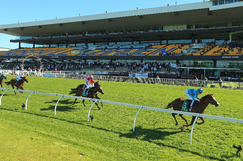 Mornington Racecourse Double Membership