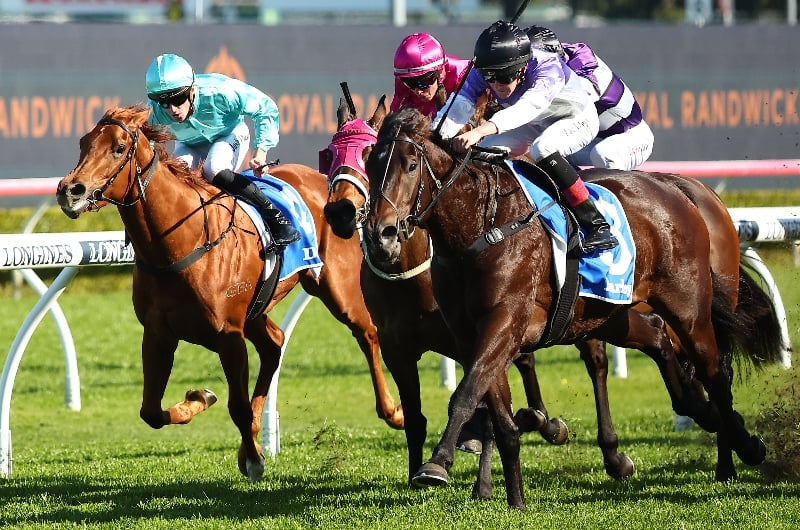 2023 Flight Stakes Betting Odds Tea Rose form is favoured